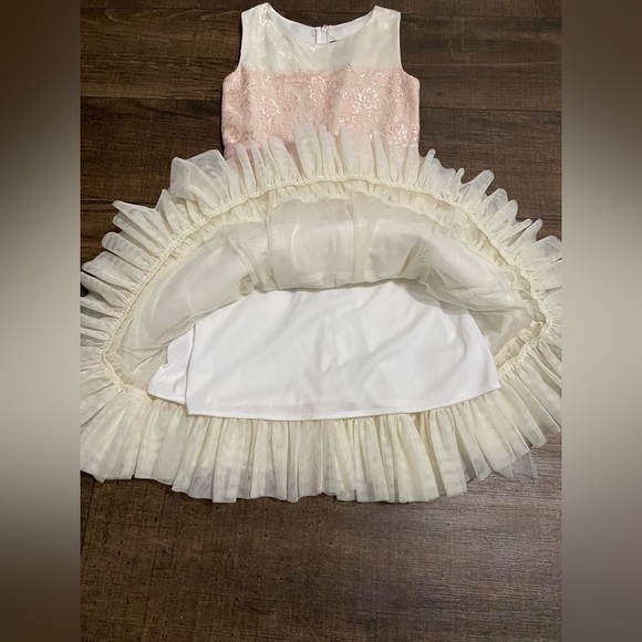 Luxury CHANTILLY Place Dress breathtaking Lace Drop Waist Tutu Ivory-Pink Sz 12 - Picture 5 of 8